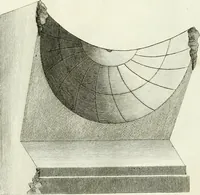 An illustration from Manuale di varj ornamenti tratti dalle fabbriche, e frammenti antichi : per uso, e commodo de' pittori, scultori, architetti, scarpellini, stuccatori, intagliatori di pietre, e legni, argentieri, giojellieri, ricamatori, ebanisti & c. (1781)