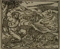An illustration from Diverse imprese accommodate a diuerse moralità : con versi che i loro significati dichiarano insieme con molte altre nella lingua Italiana non piu tradotte (1551)
