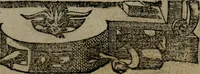 An illustration from Diverse imprese accommodate a diuerse moralità : con versi che i loro significati dichiarano insieme con molte altre nella lingua Italiana non piu tradotte (1551)