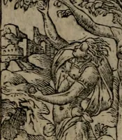 An illustration from Diverse imprese accommodate a diuerse moralità : con versi che i loro significati dichiarano insieme con molte altre nella lingua Italiana non piu tradotte (1551)
