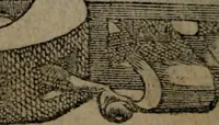 Picture 240 of 395 from Diverse imprese accommodate a diuerse moralità : con versi che i loro significati dichiarano insieme con molte altre nella lingua Italiana non piu tradotte (1551), leaf 115