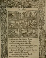 An illustration from Diverse imprese accommodate a diuerse moralità : con versi che i loro significati dichiarano insieme con molte altre nella lingua Italiana non piu tradotte (1551)