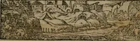Picture 245 of 395 from Diverse imprese accommodate a diuerse moralità : con versi che i loro significati dichiarano insieme con molte altre nella lingua Italiana non piu tradotte (1551), leaf 118