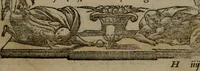 An illustration from Diverse imprese accommodate a diuerse moralità : con versi che i loro significati dichiarano insieme con molte altre nella lingua Italiana non piu tradotte (1551)