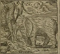 An illustration from Diverse imprese accommodate a diuerse moralità : con versi che i loro significati dichiarano insieme con molte altre nella lingua Italiana non piu tradotte (1551)