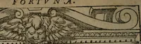 An illustration from Diverse imprese accommodate a diuerse moralità : con versi che i loro significati dichiarano insieme con molte altre nella lingua Italiana non piu tradotte (1551)