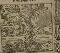 An illustration from Diverse imprese accommodate a diuerse moralità : con versi che i loro significati dichiarano insieme con molte altre nella lingua Italiana non piu tradotte (1551)