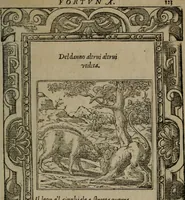 An illustration from Diverse imprese accommodate a diuerse moralità : con versi che i loro significati dichiarano insieme con molte altre nella lingua Italiana non piu tradotte (1551)
