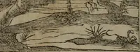An illustration from Diverse imprese accommodate a diuerse moralità : con versi che i loro significati dichiarano insieme con molte altre nella lingua Italiana non piu tradotte (1551)