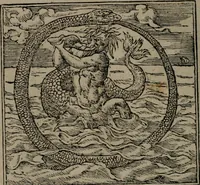 An illustration from Diverse imprese accommodate a diuerse moralità : con versi che i loro significati dichiarano insieme con molte altre nella lingua Italiana non piu tradotte (1551)