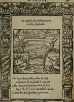 An illustration from Diverse imprese accommodate a diuerse moralità : con versi che i loro significati dichiarano insieme con molte altre nella lingua Italiana non piu tradotte (1551)