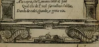 An illustration from Diverse imprese accommodate a diuerse moralità : con versi che i loro significati dichiarano insieme con molte altre nella lingua Italiana non piu tradotte (1551)
