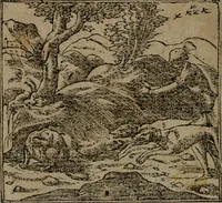An illustration from Diverse imprese accommodate a diuerse moralità : con versi che i loro significati dichiarano insieme con molte altre nella lingua Italiana non piu tradotte (1551)