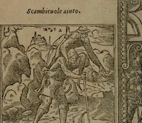 Picture 314 of 395 from Diverse imprese accommodate a diuerse moralità : con versi che i loro significati dichiarano insieme con molte altre nella lingua Italiana non piu tradotte (1551), leaf 155