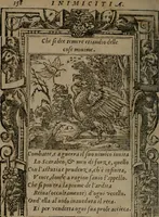 An illustration from Diverse imprese accommodate a diuerse moralità : con versi che i loro significati dichiarano insieme con molte altre nella lingua Italiana non piu tradotte (1551)
