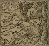 An illustration from Diverse imprese accommodate a diuerse moralità : con versi che i loro significati dichiarano insieme con molte altre nella lingua Italiana non piu tradotte (1551)