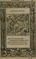 An illustration from Diverse imprese accommodate a diuerse moralità : con versi che i loro significati dichiarano insieme con molte altre nella lingua Italiana non piu tradotte (1551)
