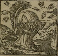 An illustration from Diverse imprese accommodate a diuerse moralità : con versi che i loro significati dichiarano insieme con molte altre nella lingua Italiana non piu tradotte (1551)