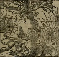 An illustration from Diverse imprese accommodate a diuerse moralità : con versi che i loro significati dichiarano insieme con molte altre nella lingua Italiana non piu tradotte (1551)