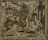 An illustration from Diverse imprese accommodate a diuerse moralità : con versi che i loro significati dichiarano insieme con molte altre nella lingua Italiana non piu tradotte (1551)