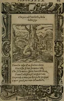 An illustration from Diverse imprese accommodate a diuerse moralità : con versi che i loro significati dichiarano insieme con molte altre nella lingua Italiana non piu tradotte (1551)