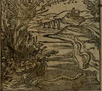 Picture 371 of 395 from Diverse imprese accommodate a diuerse moralità : con versi che i loro significati dichiarano insieme con molte altre nella lingua Italiana non piu tradotte (1551), leaf 179