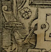 An illustration from Diverse imprese accommodate a diuerse moralità : con versi che i loro significati dichiarano insieme con molte altre nella lingua Italiana non piu tradotte (1551)