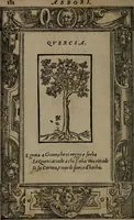 Picture 379 of 395 from Diverse imprese accommodate a diuerse moralità : con versi che i loro significati dichiarano insieme con molte altre nella lingua Italiana non piu tradotte (1551), leaf 185