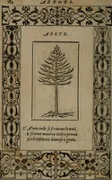 An illustration from Diverse imprese accommodate a diuerse moralità : con versi che i loro significati dichiarano insieme con molte altre nella lingua Italiana non piu tradotte (1551)