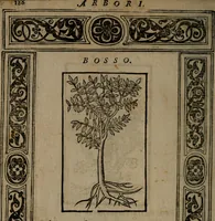 An illustration from Diverse imprese accommodate a diuerse moralità : con versi che i loro significati dichiarano insieme con molte altre nella lingua Italiana non piu tradotte (1551)