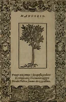 Picture 394 of 395 from Diverse imprese accommodate a diuerse moralità : con versi che i loro significati dichiarano insieme con molte altre nella lingua Italiana non piu tradotte (1551), leaf 193