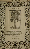 Picture 395 of 395 from Diverse imprese accommodate a diuerse moralità : con versi che i loro significati dichiarano insieme con molte altre nella lingua Italiana non piu tradotte (1551), leaf 194