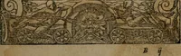 An illustration from Diverse imprese accommodate a diuerse moralità : con versi che i loro significati dichiarano insieme con molte altre nella lingua Italiana non piu tradotte (1551)