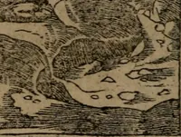 An illustration from Diverse imprese accommodate a diuerse moralità : con versi che i loro significati dichiarano insieme con molte altre nella lingua Italiana non piu tradotte (1551)