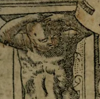 An illustration from Diverse imprese accommodate a diuerse moralità : con versi che i loro significati dichiarano insieme con molte altre nella lingua Italiana non piu tradotte (1551)
