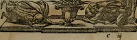 An illustration from Diverse imprese accommodate a diuerse moralità : con versi che i loro significati dichiarano insieme con molte altre nella lingua Italiana non piu tradotte (1551)