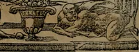 Picture 91 of 395 from Diverse imprese accommodate a diuerse moralità : con versi che i loro significati dichiarano insieme con molte altre nella lingua Italiana non piu tradotte (1551), leaf 41
