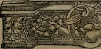 Picture 111 of 395 from Diverse imprese accommodate a diuerse moralità : con versi che i loro significati dichiarano insieme con molte altre nella lingua Italiana non piu tradotte (1551), leaf 49