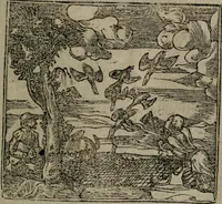 An illustration from Diverse imprese accommodate a diuerse moralità : con versi che i loro significati dichiarano insieme con molte altre nella lingua Italiana non piu tradotte (1551)