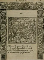 An illustration from Diverse imprese accommodate a diuerse moralità : con versi che i loro significati dichiarano insieme con molte altre nella lingua Italiana non piu tradotte (1551)