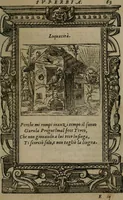An illustration from Diverse imprese accommodate a diuerse moralità : con versi che i loro significati dichiarano insieme con molte altre nella lingua Italiana non piu tradotte (1551)