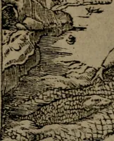 An illustration from Diverse imprese accommodate a diuerse moralità : con versi che i loro significati dichiarano insieme con molte altre nella lingua Italiana non piu tradotte (1551)