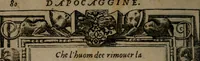 An illustration from Diverse imprese accommodate a diuerse moralità : con versi che i loro significati dichiarano insieme con molte altre nella lingua Italiana non piu tradotte (1551)