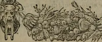An illustration from Diverse imprese accommodate a diuerse moralità : con versi che i loro significati dichiarano insieme con molte altre nella lingua Italiana non piu tradotte (1551)