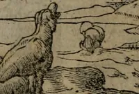 Picture 17 of 395 from Diverse imprese accommodate a diuerse moralità : con versi che i loro significati dichiarano insieme con molte altre nella lingua Italiana non piu tradotte (1551), leaf 9