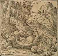 An illustration from Diverse imprese accomodate a diuerse moralità : con versi che i loro significati dichiarano : Tratte da gli Emblemi dell' Alciato (1549)