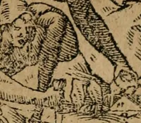 An illustration from Diverse imprese accomodate a diuerse moralità : con versi che i loro significati dichiarano : Tratte da gli Emblemi dell' Alciato (1549)