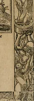 An illustration from Diverse imprese accomodate a diuerse moralità : con versi che i loro significati dichiarano : Tratte da gli Emblemi dell' Alciato (1549)