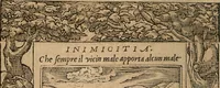 An illustration from Diverse imprese accomodate a diuerse moralità : con versi che i loro significati dichiarano : Tratte da gli Emblemi dell' Alciato (1549)