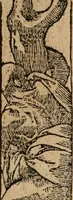 An illustration from Diverse imprese accomodate a diuerse moralità : con versi che i loro significati dichiarano : Tratte da gli Emblemi dell' Alciato (1549)